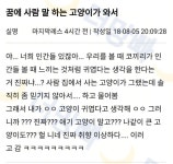 꿈에 사람 말하는 고양이가 와서 - 스퀘어 카테고리