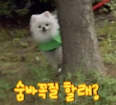 모서리는 전설이다 ... - 메이플스토리 카테고리