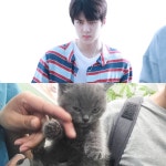 훈모닝❤(ฅ^ﻌ^ฅ) - EXO(엑소) 카테고리