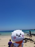전체 게시판 - 알제이농장 ) 제희와 함께한 제주