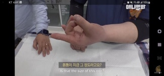전체 게시판 - 최근 동물농장봣음? 유기한 ㅅㄲ찾고잇는거