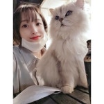 공식 인스타 업데이트 #지애 - 러블리즈 카테고리
