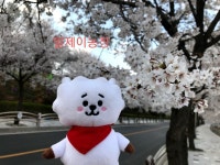 알제이농장💜 여기저기 다닌 제희 볼래? - 진(BTS) 카테고리 알제이농장&#x1f49c; 여기저기 다닌 제희 볼래? - 진(BTS) 카테고리