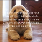 직진견 율리▽ • ᴥ • ▽ - BL 카테고리