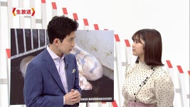 더쿠 - 오늘 NHK 방송 네비게이션 (토카이지역) 돼지콜레라 위협에 관한 내용에 출연한 루카짱