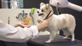 더쿠 - 3000만큼 사랑해