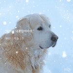 외전이 너무 안 나오니... - BL 카테고리