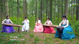 더쿠 - [오! 숲소리] 오백년 광릉숲에서 우리의 소리를 듣다! (방탄소년단 다이너마이트 국악연주)