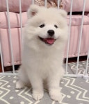 예쁜 멈무 보고 가세요 - 강다니엘 카테고리