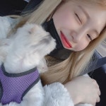 전체 게시판 - 수윤 트윗