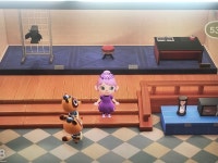 아일랜드키친 검빨? 있다 - 동물의숲 카테고리