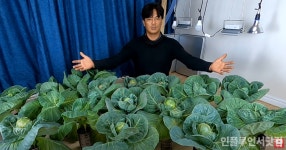 ‘총리와나’ 윤아-이범수 계약연애 끝! 진짜 연인으로 ‘해피엔딩’