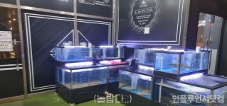 LPGA 깜짝 우승, 허미정이 대체 누구야