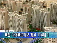 부산 다대푸르지오 최고 114대 1 마감 - MBN