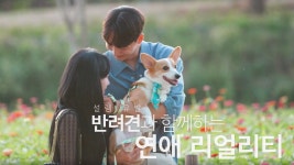펫미픽미 : 웨이브 Wavve(웨이브)