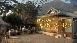 한국인의 밥상 : 웨이브 Wavve(웨이브)