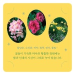 웬디북 - 영어원서 전문서점 타샤 튜더 나의 정원