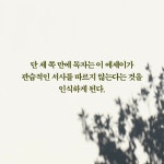 마법 같은 언어 - 웬디북