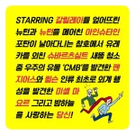 빅뱅에서 블랙홀까지 - 웬디북