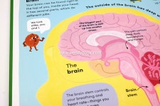 You and Your Body: A First Look Inside the Human Body - 웬디북