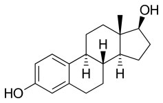 Estrogen - Wikiwand