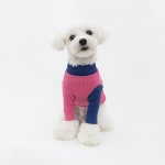 WIZWID:위즈위드 - [Cote a Cote:꼬떼아꼬떼]Colors Golgi Tee(Pink) WIZWID