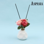 WIZWID:위즈위드 - [ASPASIA:아스파시아]오쏠레이 디퓨저 세트 WIZWID