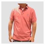 WIZWID:위즈위드 - [Polo Ralph Lauren:폴로 랄프 로렌]폴로 남성 클래식핏 반팔카라티 P0065 Winslow Re WIZWID