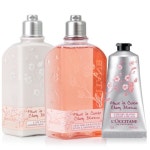 WIZWID:위즈위드 - [LOCCITANE:록시땅]록시땅 체리 블라썸 배쓰 앤 샤워 젤 250ml 외 WIZWID