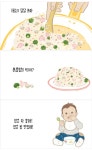 중고도서 구매 가능한 아가야 밥 먹자 도서 목록 여정은,길벗어린이,9788955823325