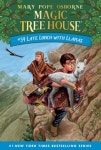 Magic Tree House 시리즈 대여 Magic Tree House 시리즈 대여 