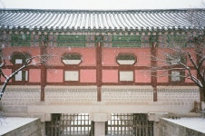 우리집은 도서관 회원 생각많은자의서재의 도서관 추천의 글 목록
