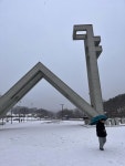 우리집은 도서관 회원 북적북적북적의 도서관 추천의 글 목록