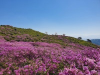 [성인 추천도서] 30개 도시로 읽는 세계사 대여 가능 - 주문 시 당일 배송 (첫 주문 무배)(1029420)