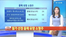 [월가 분석] US 뉴스 선정 올해 유망 소형주 | 한국경제TV [월가 분석] US 뉴스 선정 올해 유망 소형주 