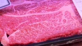 6살 많은 | 한국경제TV 한국경제TV : No.1 경제·증권 채널 : @HKWOWTV