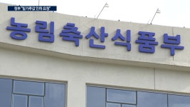 제분업계 소집한 정부 라면 이어 밀가루 값 내려라 | 한국경제TV 제분업계 소집한 정부 라면 이어 밀가루 값 내려라