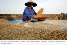 베트남 111월 커피 수출 136만톤전년 44 감소 코참데일리 | 한국경제TV 베트남 111월 커피 수출 136만톤전년 44 감소 코참데일리