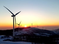 삼양목장 3년만에 새해 해돋이 행사 재개 | 한국경제TV 삼양목장 3년만에 새해 해돋이 행사 재개