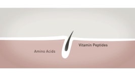 B.LAB Hair Regrowth System - How it works | 지금 무료로 감상하기 - Y8.com