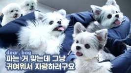 포근한 우리 아이 최애 가방, 산책이 즐거워지는 마이베프 [디어백] by (주)아이비알 마이베프