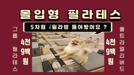5차원 i필라방 강남점 - 그룹 필라테스 수강권 by 보니따필라테스 부천중동점 | wadiz 5차원 i필라방 강남점 - 그룹 필라테스 수강권 by... 