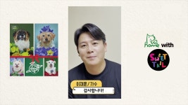 [스윗테일] 강아지의 눈으로 만든 달콤한 100% 핸드메이드 강아지카시트 by 주식회사 텐이얼즈애프터 [스윗테일] 강아지의 눈으로 만든 달콤한... 