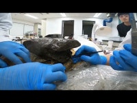 축제(상세) < 영상 < 문화정보 | 서울문화포털......  문화정보 > 영상 > 축제(상세) > [백제학연구소] 쟁기의 여정.02