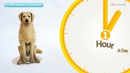 소중한 반려가족을 위한 차세대 힐링기기 펫카롱을 소개합니다. by 주식회사 메디워커