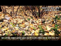 관악명소 이야기가 있는 관악 6편 - 시민의 숲 산책코스 < 공연(상세) < 영상 < 문화정보 | 서울문화포털......  문화정보 > 영상 > 공연(상세)... 