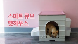 반려동물의 스마트 큐브 펫 하우스 분양 시작합니다.