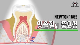 잇몸속 치아사이도 닦으셔야죠! 세계최초 회전손잡이 [360365칫솔] by 뉴턴1665주식회사