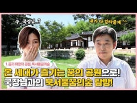 어린이들의 꿈의 동산, 드림랜드에서 모두의 꿈의 공원, 북서울꿈의숲으로! 희망과 감동을 선물하는 꿈의 숲으로 여러분을 초대합니다~ < 공연... 