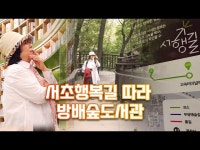 서초 행복길 따라 방배숲도서관 | SNS서포터즈 권나연 < 전체(상세) < 영상 | 서울문화포털......  영상 > 전체(상세) > 서초 행복길 따라... 